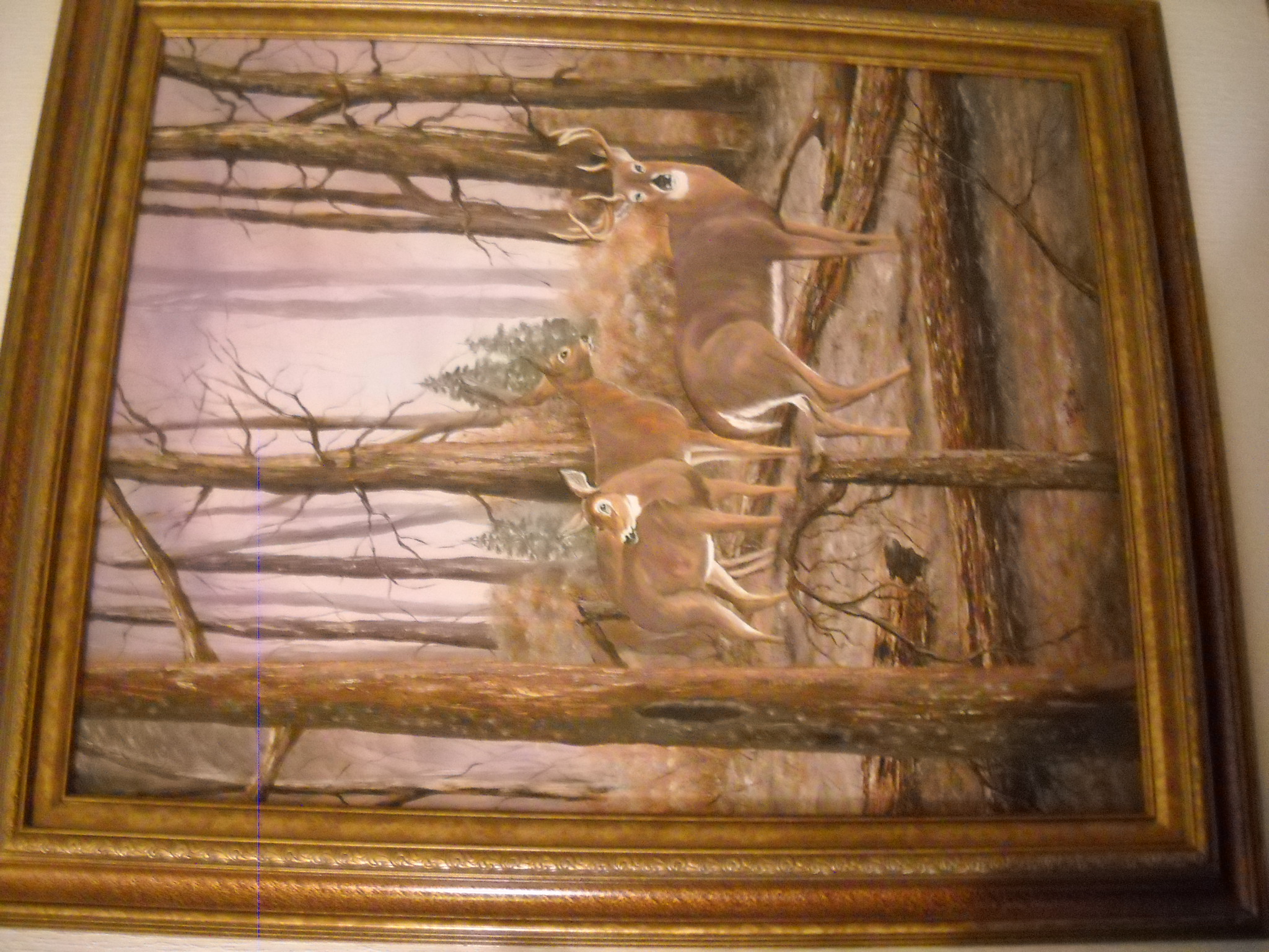 olmsted Real Estate and Auctions